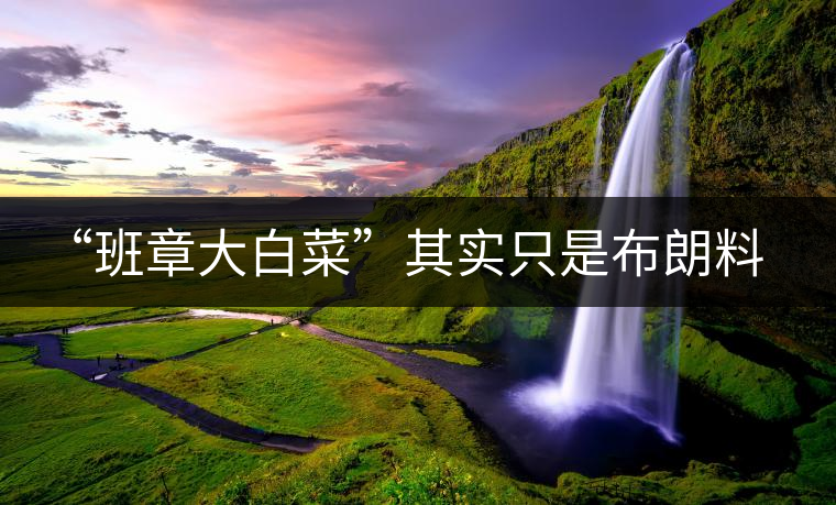 “班章大白菜”其實(shí)只是布朗料？