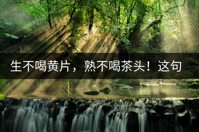 生不喝黃片，熟不喝茶頭！這句話(huà)你了解多少？