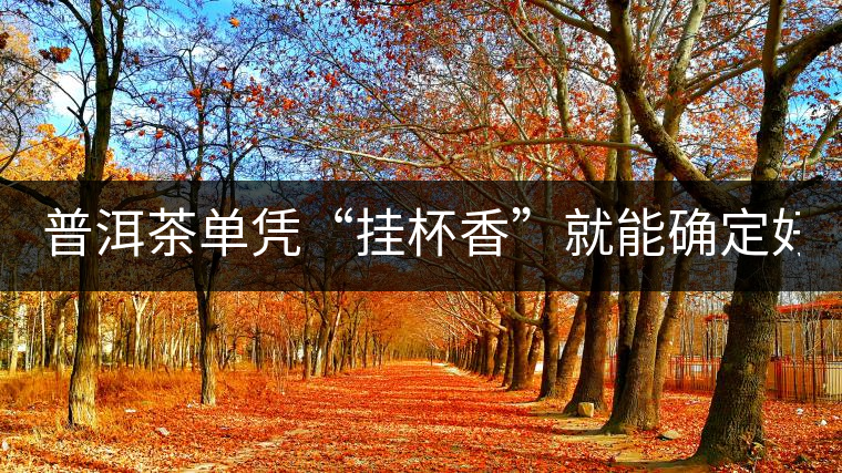 普洱茶單憑“掛杯香”就能確定好壞？you錯了！