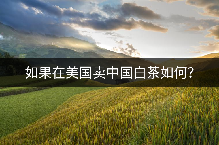 如果在美國(guó)賣中國(guó)白茶如何？