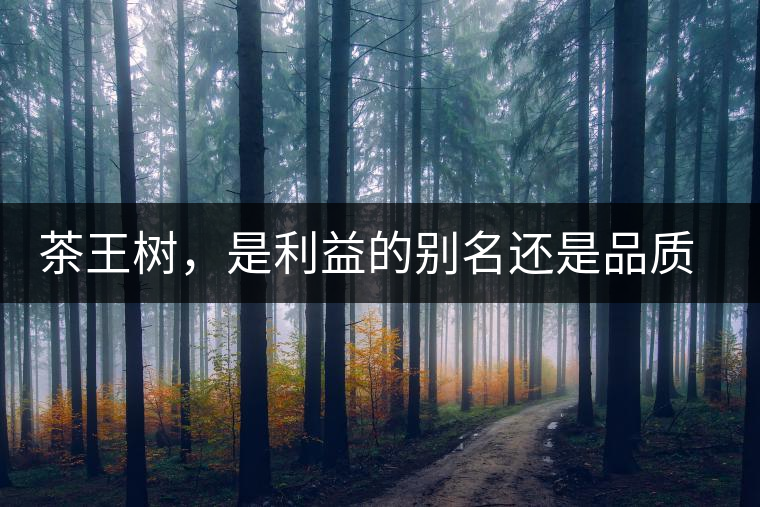 茶王樹，是利益的別名還是品質(zhì)的象征？