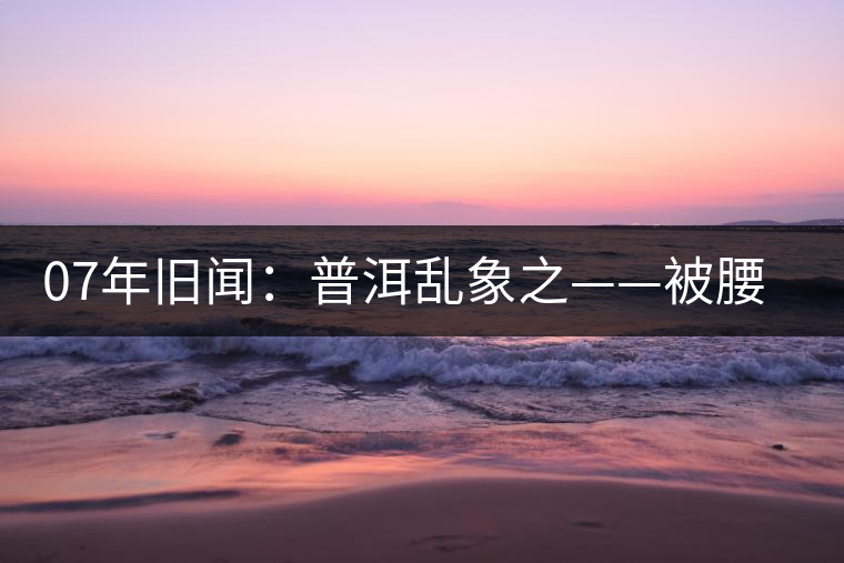 07年舊聞：普洱亂象之——被腰斬的古樹茶