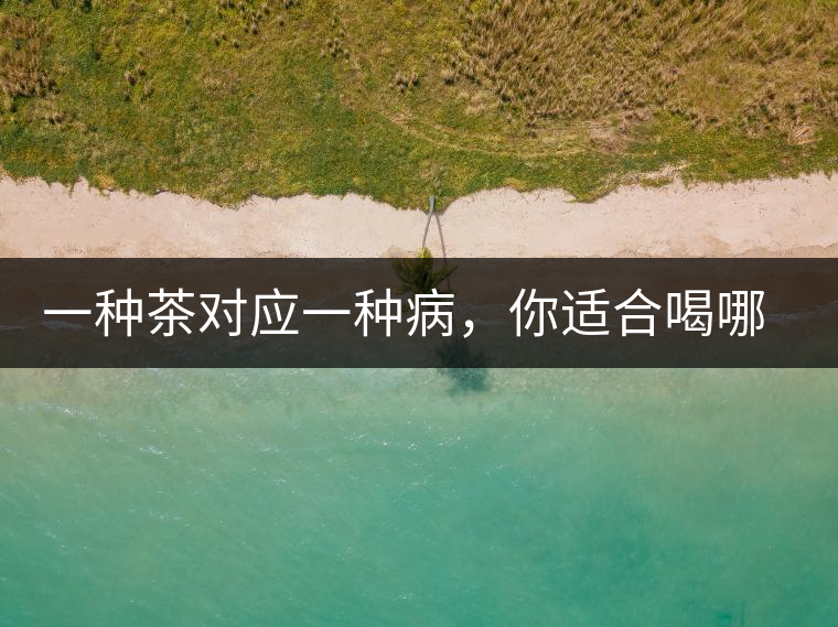 一種茶對應(yīng)一種病，你適合喝哪一種呢？