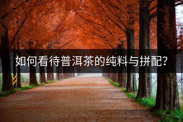 如何看待普洱茶的純料與拼配？