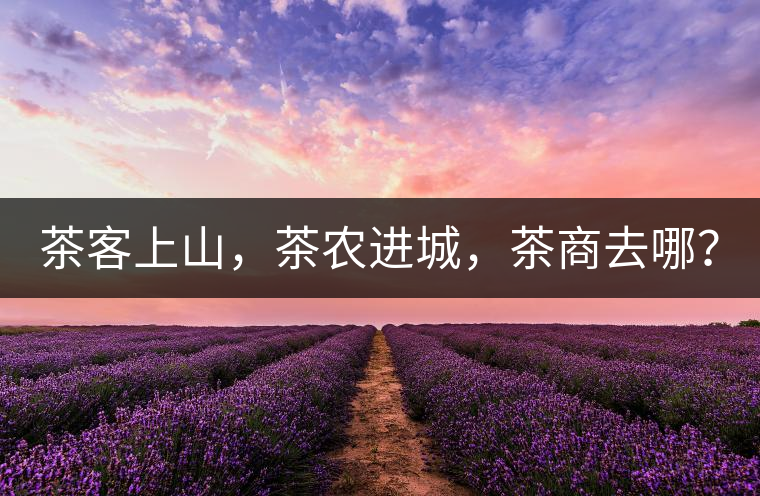 茶客上山，茶農(nóng)進城，茶商去哪？