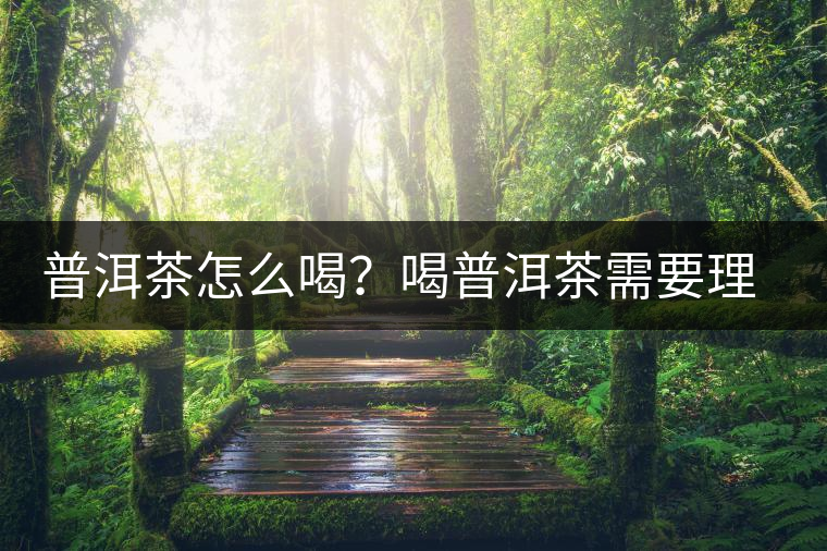 普洱茶怎么喝？喝普洱茶需要理由嗎？