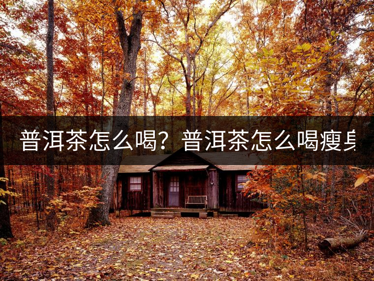 普洱茶怎么喝？普洱茶怎么喝瘦身？