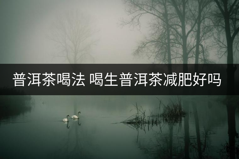 普洱茶喝法 喝生普洱茶減肥好嗎？