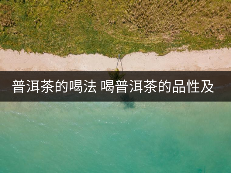 普洱茶的喝法 喝普洱茶的品性及追求