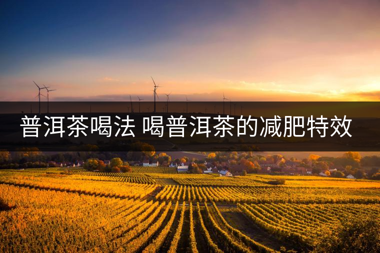 普洱茶喝法 喝普洱茶的減肥特效是什么呢？