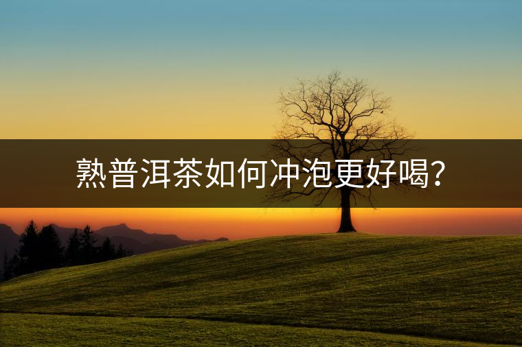 熟普洱茶如何沖泡更好喝？
