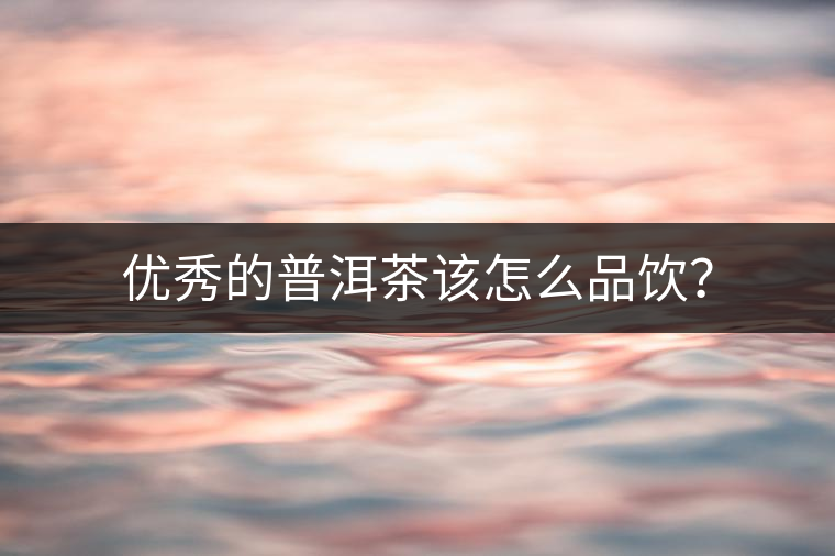 優(yōu)秀的普洱茶該怎么品飲？