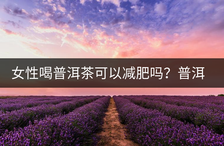 女性喝普洱茶可以減肥嗎？普洱茶的功效又有哪些呢？