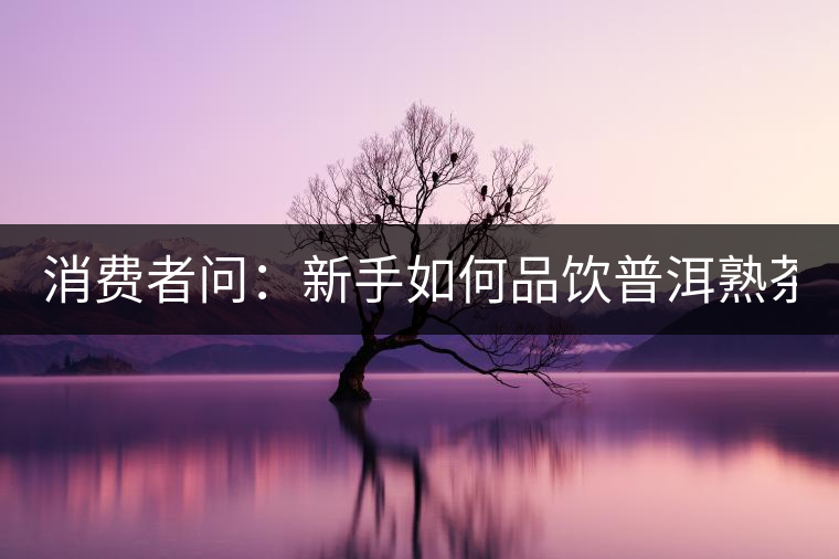 消費(fèi)者問：新手如何品飲普洱熟茶？