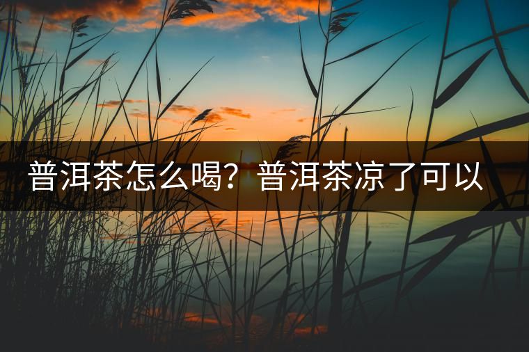 普洱茶怎么喝？普洱茶涼了可以喝嗎？