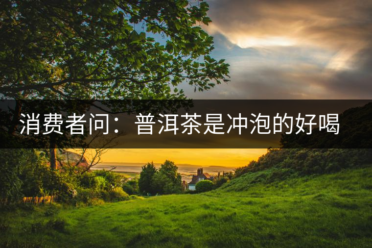 消費(fèi)者問：普洱茶是沖泡的好喝？還是煮著喝好？