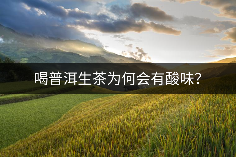 喝普洱生茶為何會(huì)有酸味？