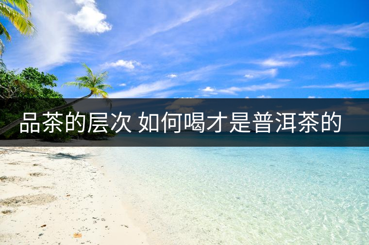 品茶的層次 如何喝才是普洱茶的最高境界？