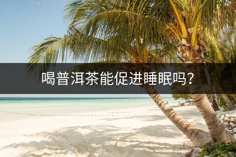喝普洱茶能促進睡眠嗎？