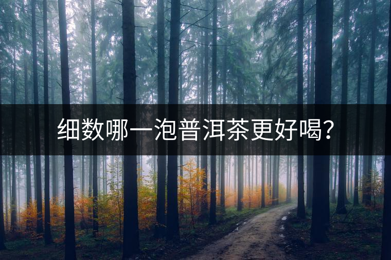 細(xì)數(shù)哪一泡普洱茶更好喝？