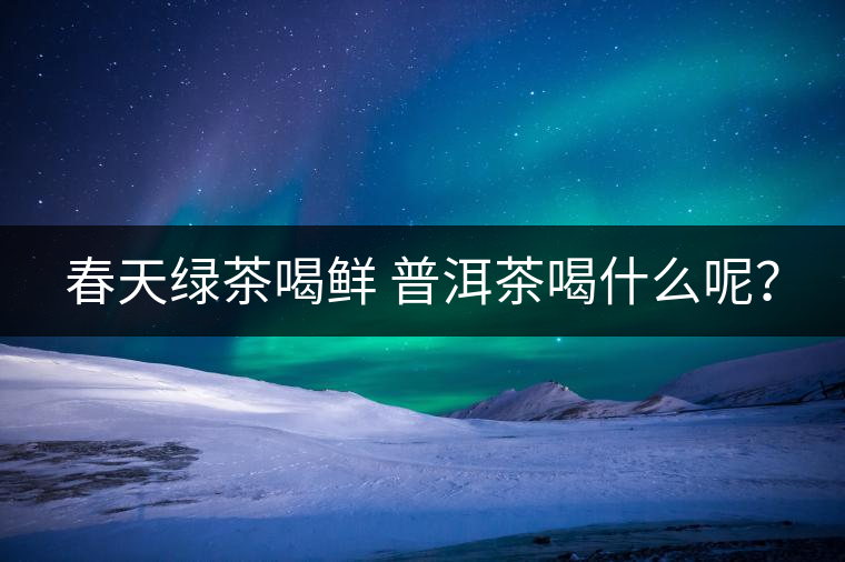 春天綠茶喝鮮 普洱茶喝什么呢？