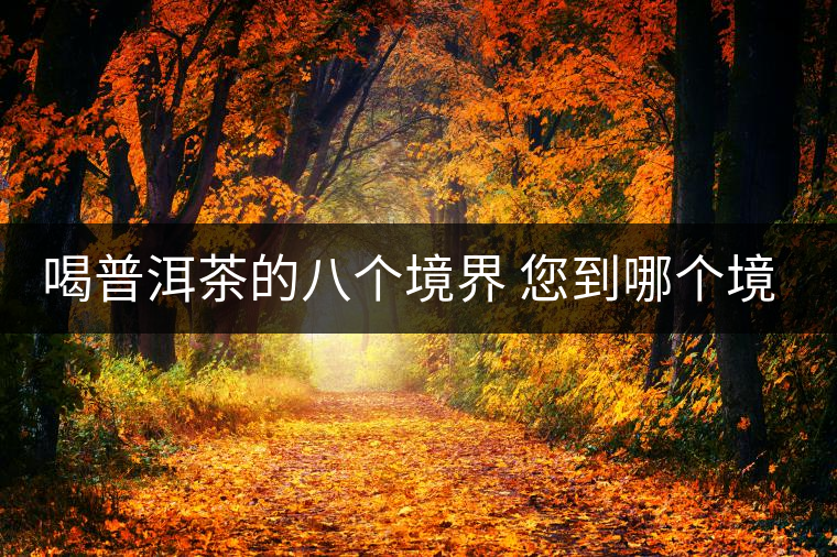 喝普洱茶的八個(gè)境界 您到哪個(gè)境界了？