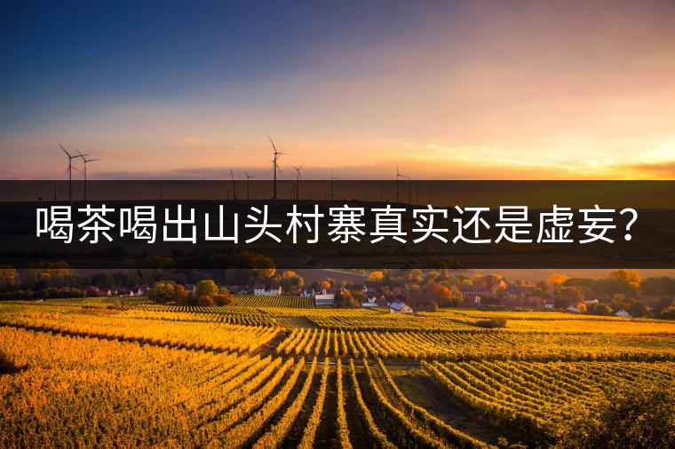 喝茶喝出山頭村寨真實還是虛妄？