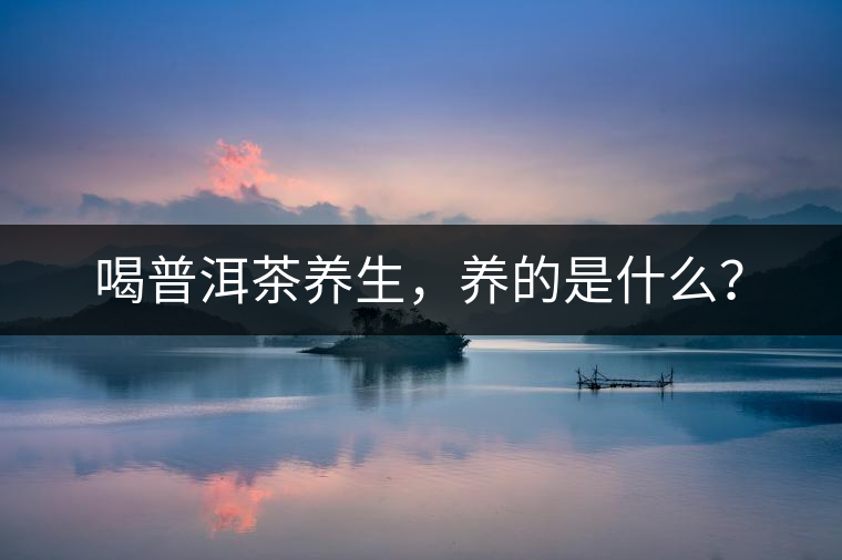 喝普洱茶養(yǎng)生，養(yǎng)的是什么？