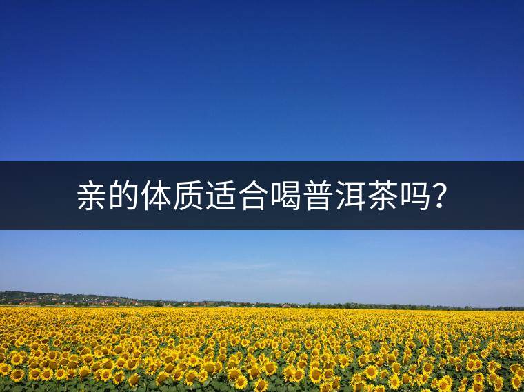 親的體質(zhì)適合喝普洱茶嗎？