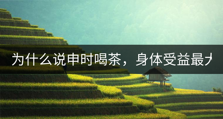 為什么說申時喝茶，身體受益最大？