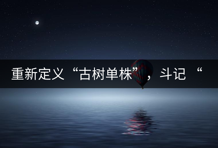 重新定義“古樹單株”，斗記 “超級審評”有償招募告罄在即！