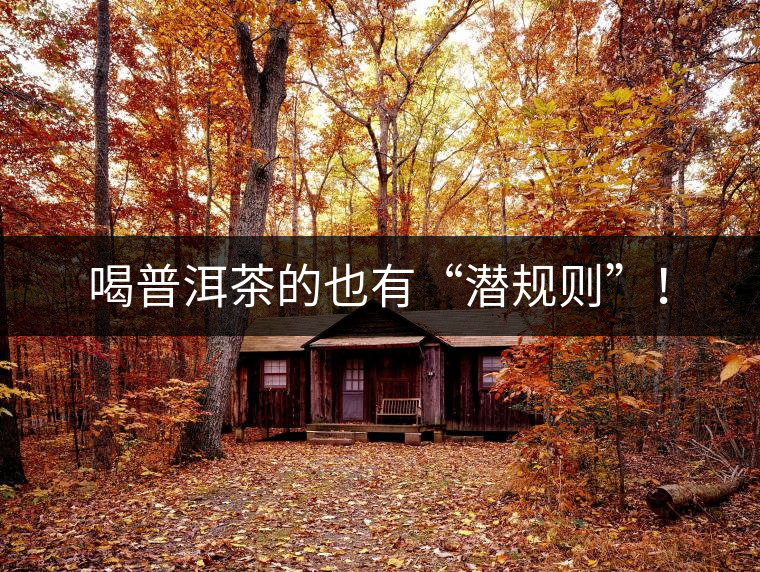 喝普洱茶的也有“潛規(guī)則”！