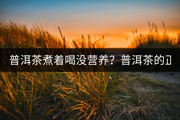 普洱茶煮著喝沒營養(yǎng)？普洱茶的正確煮法！