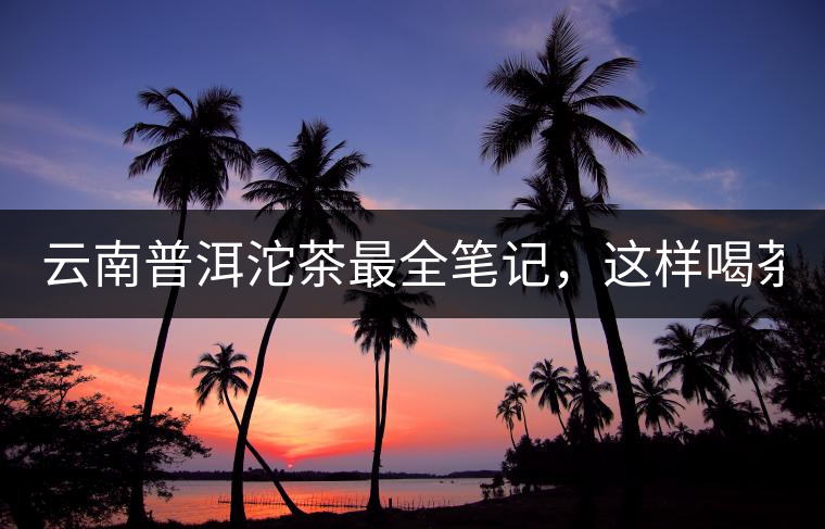 云南普洱沱茶最全筆記，這樣喝茶才更健康！