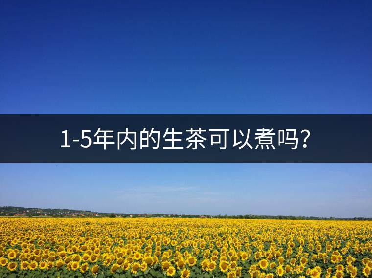 1-5年內(nèi)的生茶可以煮嗎？