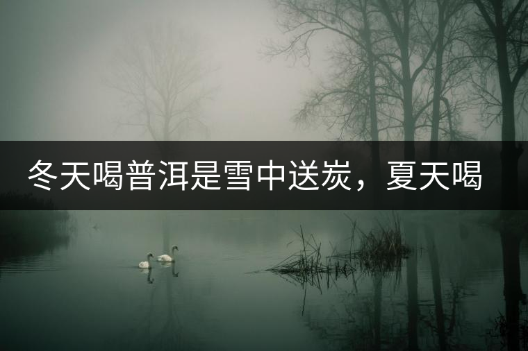 冬天喝普洱是雪中送炭，夏天喝就是火上澆油了？