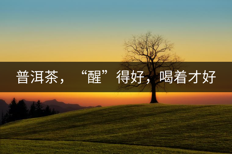 普洱茶，“醒”得好，喝著才好