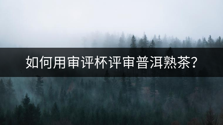 如何用審評杯評審普洱熟茶？