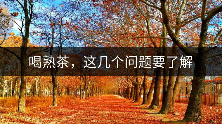 喝熟茶，這幾個(gè)問題要了解