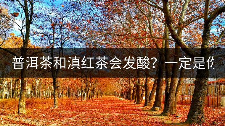 普洱茶和滇紅茶會發(fā)酸？一定是你這么做了！