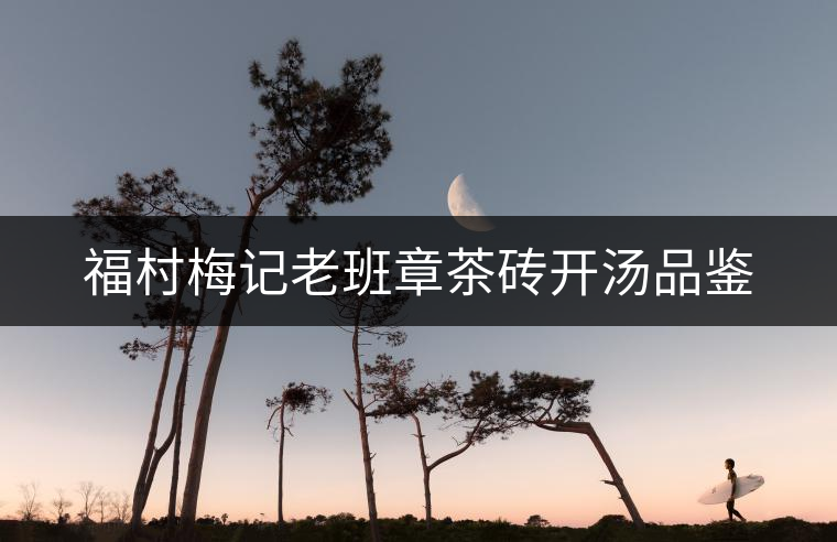 福村梅記老班章茶磚開(kāi)湯品鑒