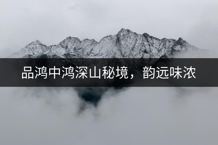 品鴻中鴻深山秘境，韻遠(yuǎn)味濃