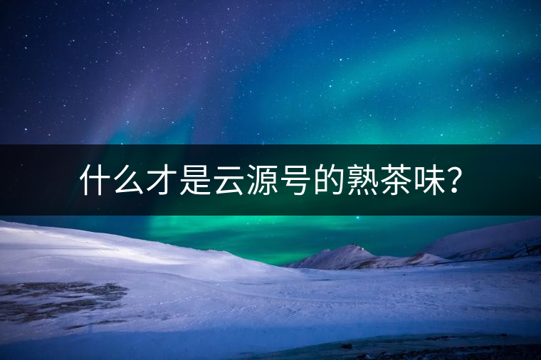 什么才是云源號(hào)的熟茶味？