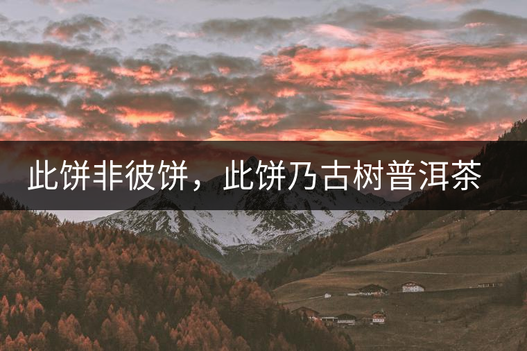 此餅非彼餅，此餅?zāi)斯艠?shù)普洱茶也