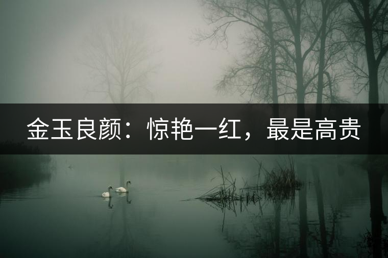 金玉良顏：驚艷一紅，最是高貴