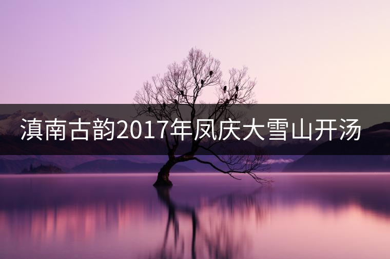 滇南古韻2017年鳳慶大雪山開湯品鑒 滇南古韻2017年鳳慶大雪山開湯品鑒