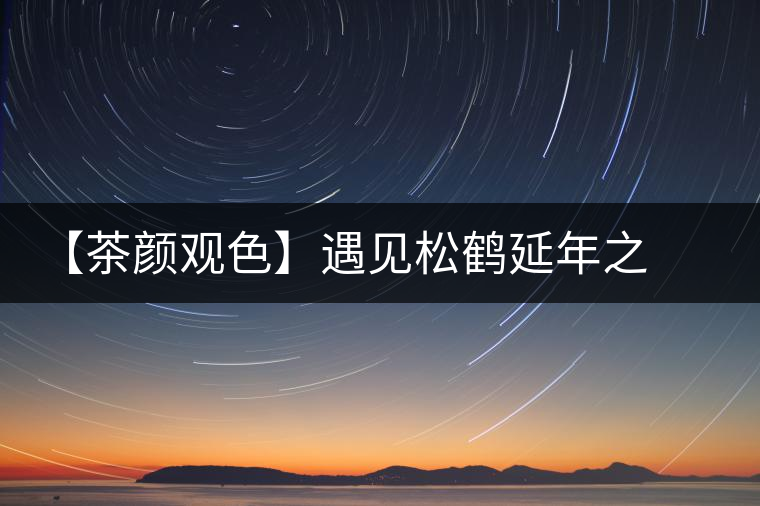 【茶顏觀色】遇見(jiàn)松鶴延年之美 【茶顏觀色】遇見(jiàn)松鶴延年之美