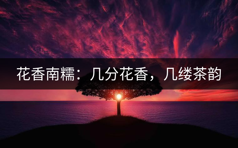 花香南糯：幾分花香，幾縷茶韻