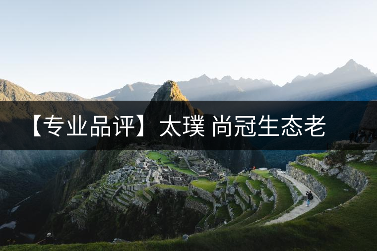 【專業(yè)品評(píng)】太璞 尚冠生態(tài)老班章