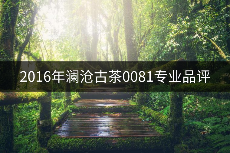 2016年瀾滄古茶0081專業(yè)品評 2016年瀾滄古茶0081專業(yè)品評